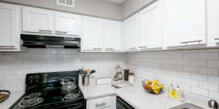 Pier 5350 Apartments Gallery 17