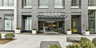 Agora at the Collective Gallery 11