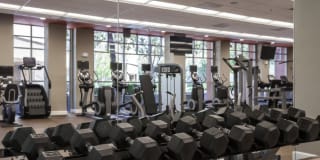 Avalon Silicon Valley Gallery 24