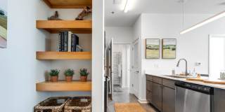 The Nest Gallery 16