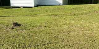 10 Logaras Circle Gallery 1