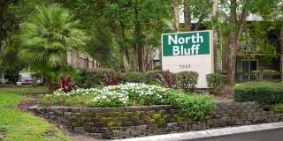 North Bluff Gallery 10