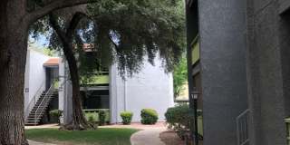 Saguaro Villas Gallery 62