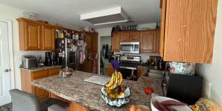 Spacious 4BR Home in Seven Oaks with Garage & Fenced Yard Gallery 12
