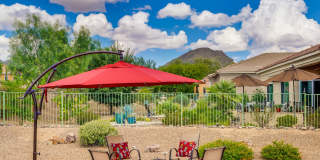 13655 North Gold Cholla Place Gallery 14
