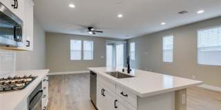 105 Emerald Summit Lane Gallery 29