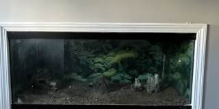 399 Montclair Tower Drive Gallery 4