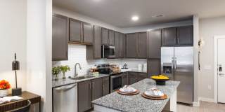 Allora New Forest Gallery 3