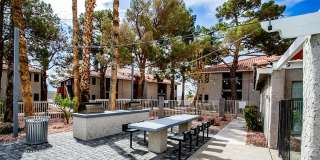 Bloom Apartment Homes Gallery 27