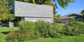 Arbor Crossing Gallery 31