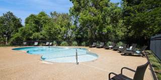 ReNew on Blues Apartments & Townhomes Gallery 24