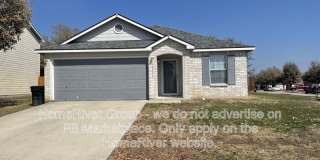 16402 Royal Horse Gallery 1