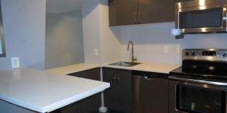 2411 W HORATIO STREET Gallery 4