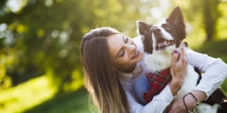 Pacific Vista Gallery 28