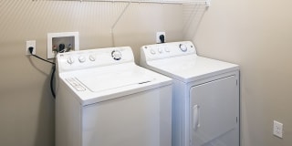 White Palm Gallery 10