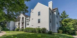 Whispering Lake Gallery 29