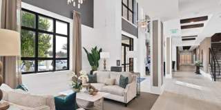 Palmera Gallery 25
