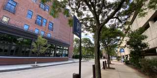 Red Oak at 83 Hanover Street Gallery 56