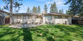 **Coming Soon** Fantastic Updated South Hill Rancher 3 Bedroom 2 Bath with Hardwood throughout Gallery 27