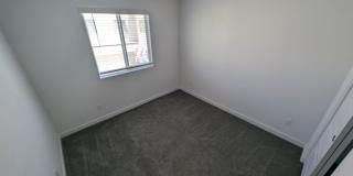 3509 Golden Chariot Avenue Gallery 19