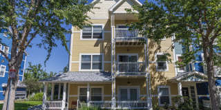 Trocadero Gallery 31