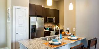 AMLI at Mueller Gallery 5