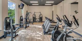 Cornerstone Gallery 30