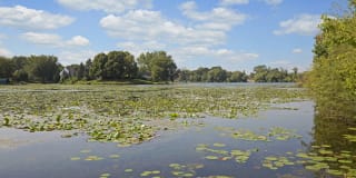 Beach South Gallery 41