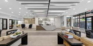 RISE Doro Gallery 41