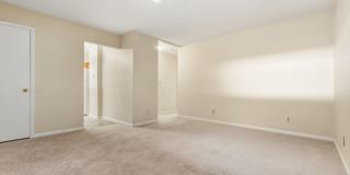 Two bedroom updated paint, carpet washer/dryer included in unit - Immediate Move In Gallery 4