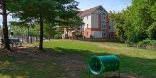 Crescent Chase Gallery 17