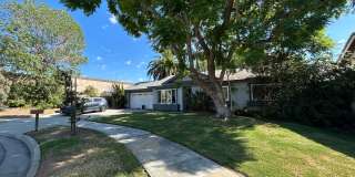 Lovely Single Story 3 Bed 2 Bath Home in Orange on Large Lot Lovely Single Story 3 Bed 2 Bath Home in Orange on Large Lot Gallery 1