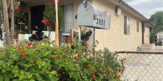 3951 Hammel Street Gallery 1