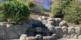 7183 Brooktree Court Gallery 14