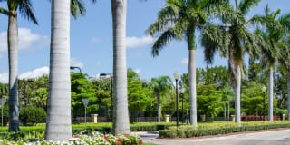 The Point at Royal Palm Beach Gallery 20