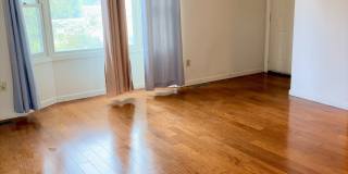 193 Abbotsford Avenue Gallery 7