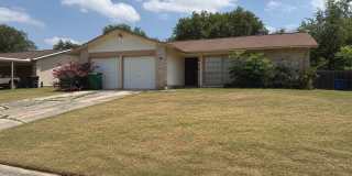 AVAILABLE NOW! Well-maintained single-story home featuring 3 bedrooms, 2 full bathrooms, and 1,038 square feet in NORTH EAST ISD Gallery 1