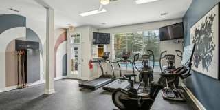 Halston Shiloh Valley Gallery 22