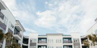 Alvante at Grand National Gallery 13