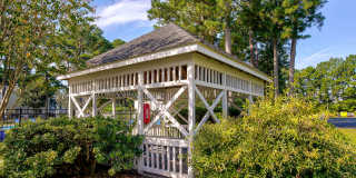 Bluff Ridge Gallery 18