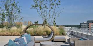 The Point at McLean Gallery 24