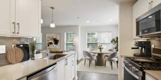 Everly Darien Gallery 8