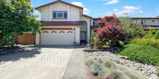 1293 Knollview Drive Gallery 1