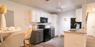 Palmera on 3009 Gallery 7