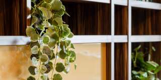 Liberty Towers Gallery 43