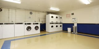 Wood Lee Arms Gallery 46