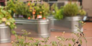 The Savoy at Lake City - 55+ Senior Living Community Gallery 6