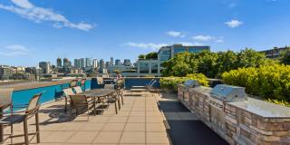 Dexter Lake Union Gallery 25