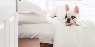 The Residences on Jamboree Gallery 21