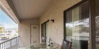 2840 Bluebonnet Drive Gallery 20